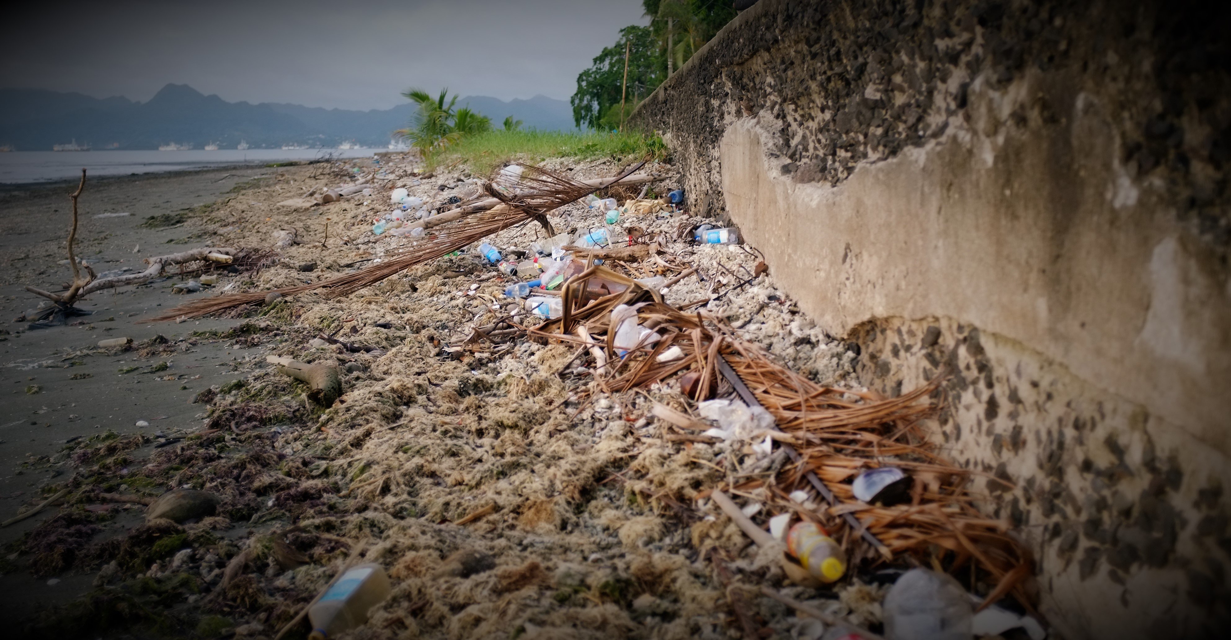  Fiji marine pollution law
